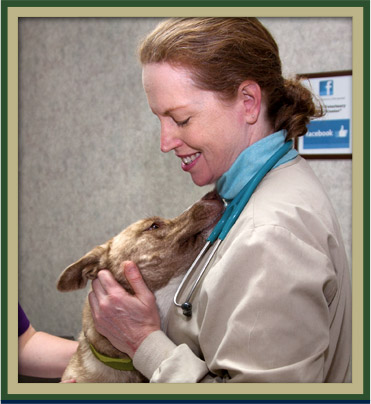 About Veterinary Medical Center