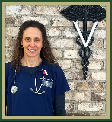 Everett Veterinarian