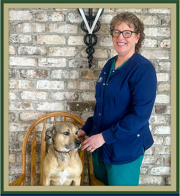 Everett Veterinarian