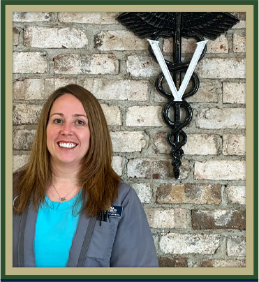 Everett Veterinarian